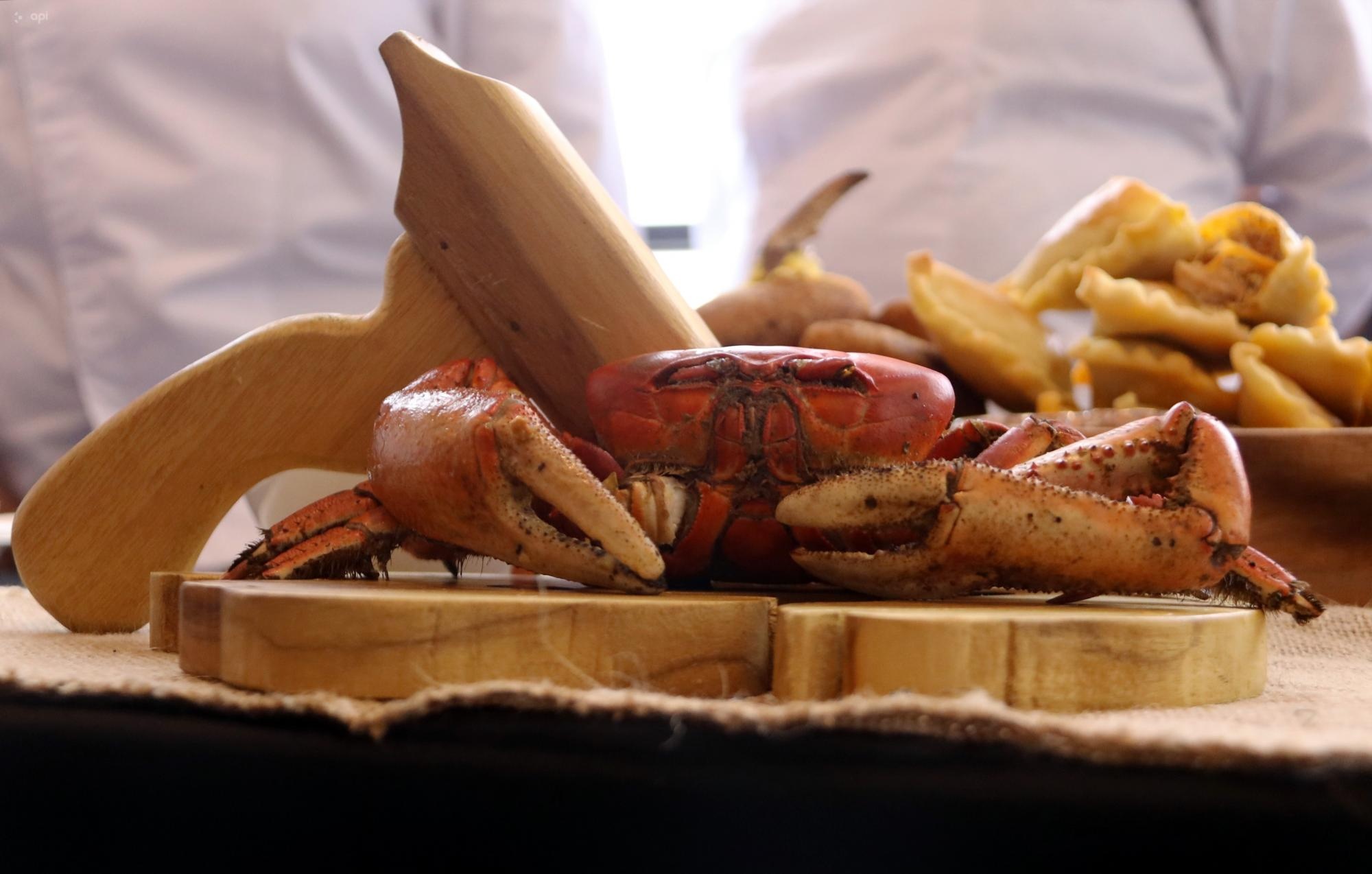 Festival del Cangrejo Rojo en Naranjal. (API)