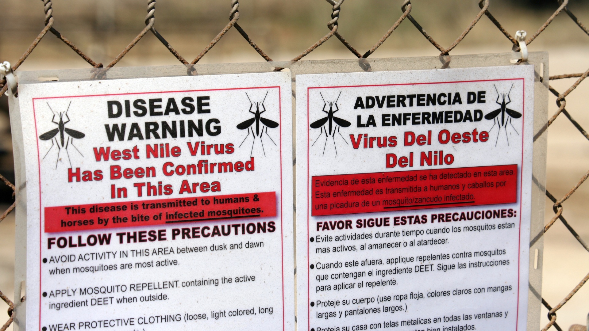Foto referencial de las advertencias sobre el Virus Nilo Occidental (Canva)