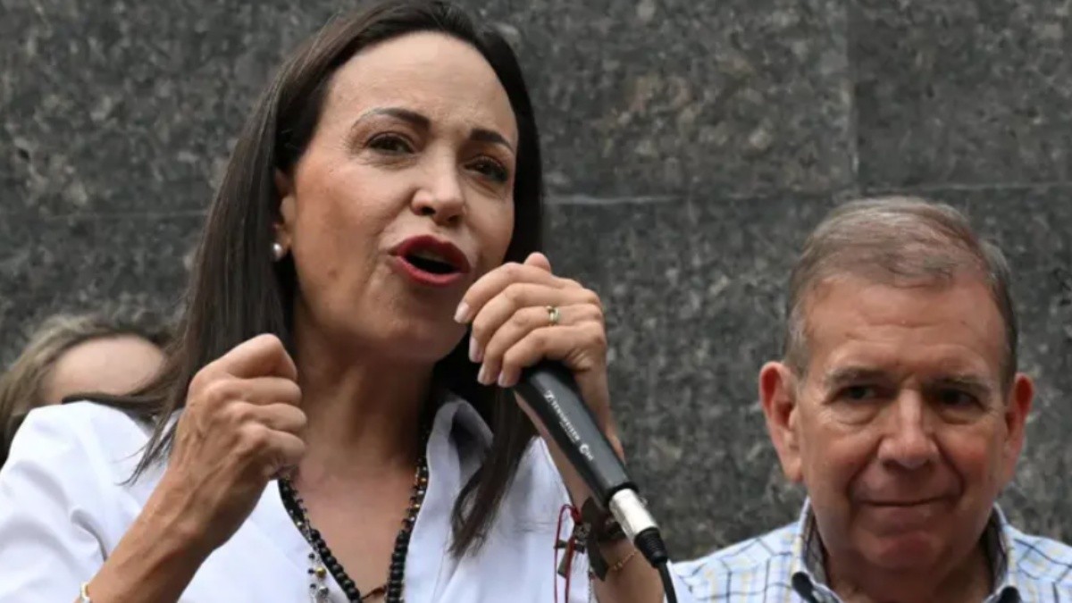 La oposición definió al asilo político como un "movimiento estratégico". (Getty Images)