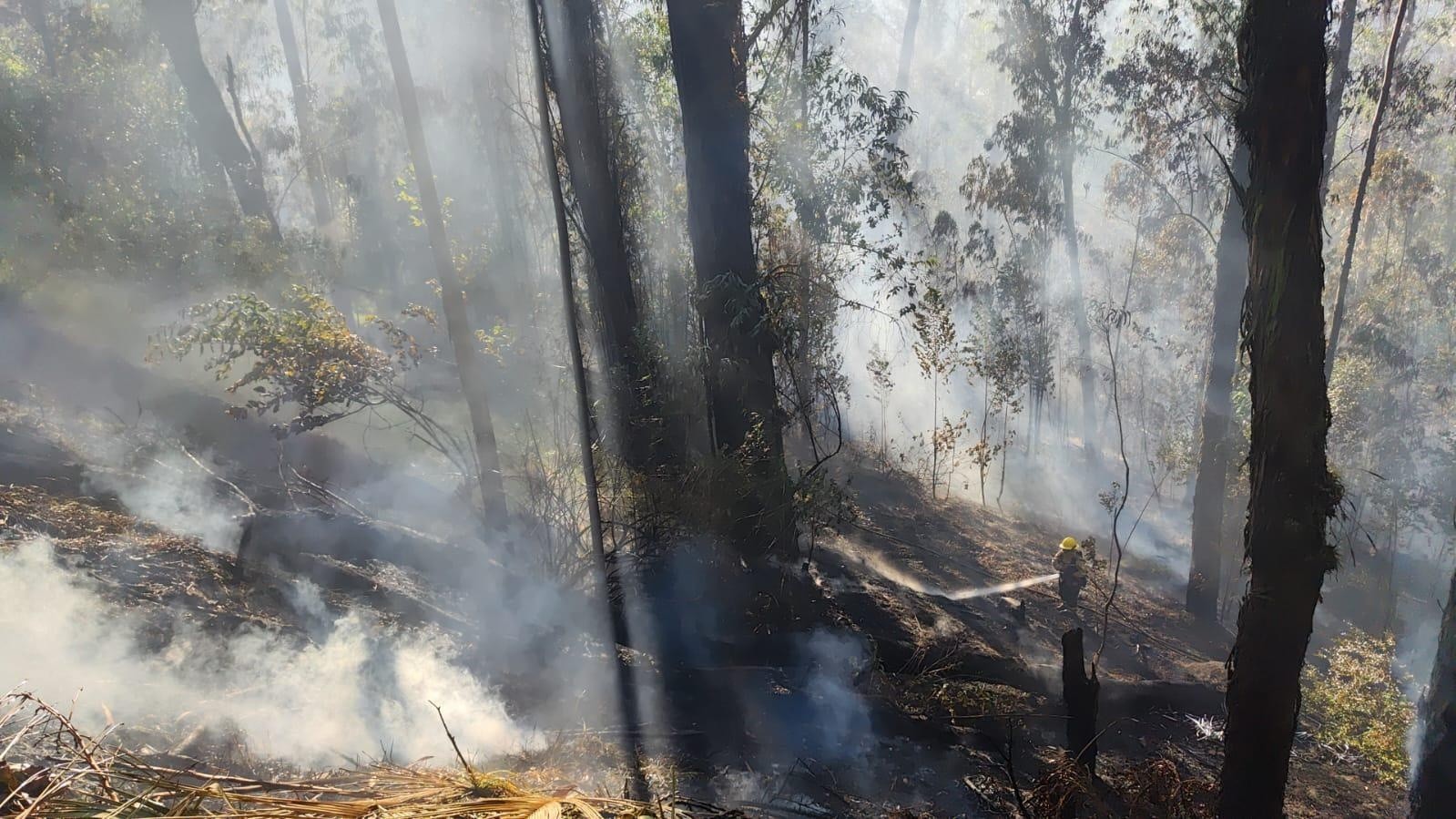 Esta tarde, nuestro equipo controló y sofocó un incendio forestal en el sector de El Trébol. (Bomberos Quito)