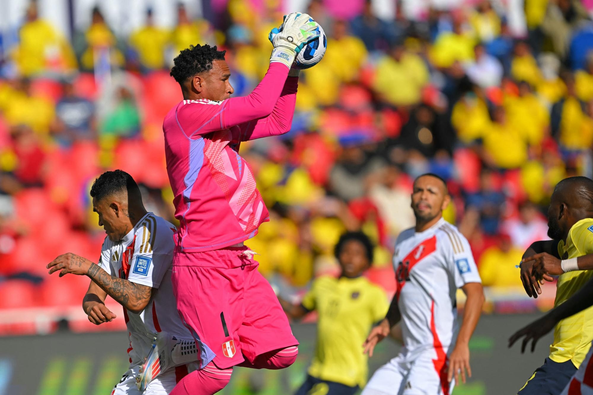 Pedro Gallese evitó tres goles de la selección de Ecuador en el primer tiempo. (AFP)