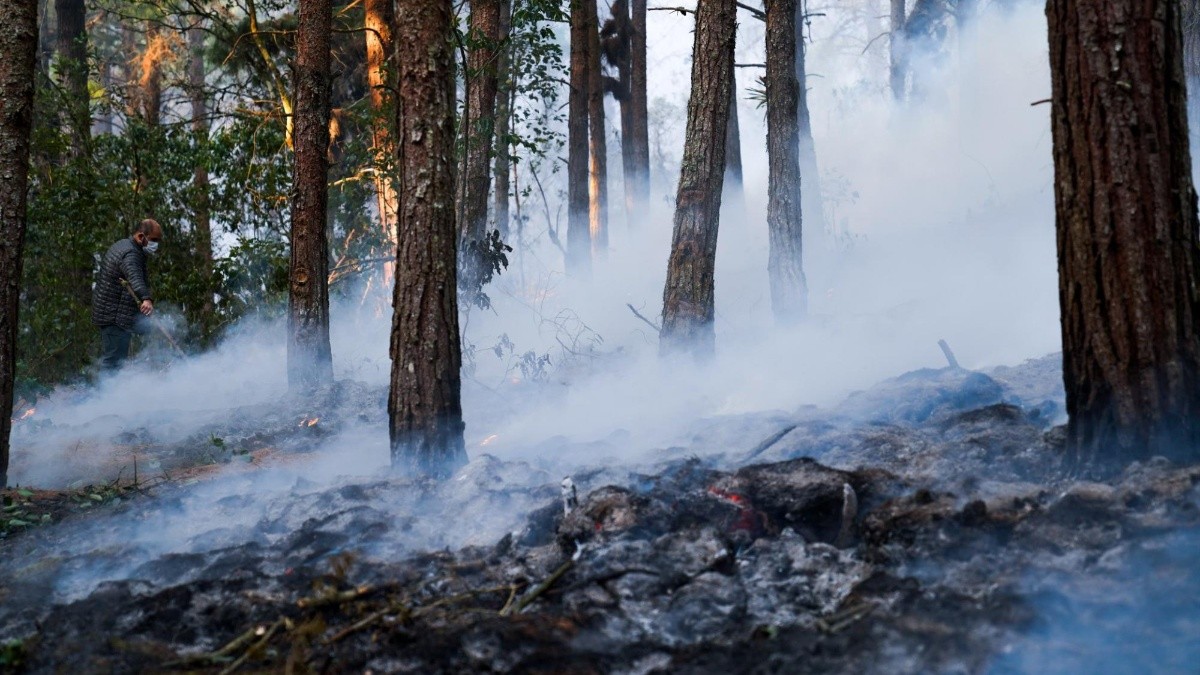 En Cuenca se reportó un incendio forestal en el sector de Los Álamos. El fuego se extendió rápidamente debido al pajonal seco afectando a una gran extensión de terreno. (Cuerpo de Bomberos de Cuenca)