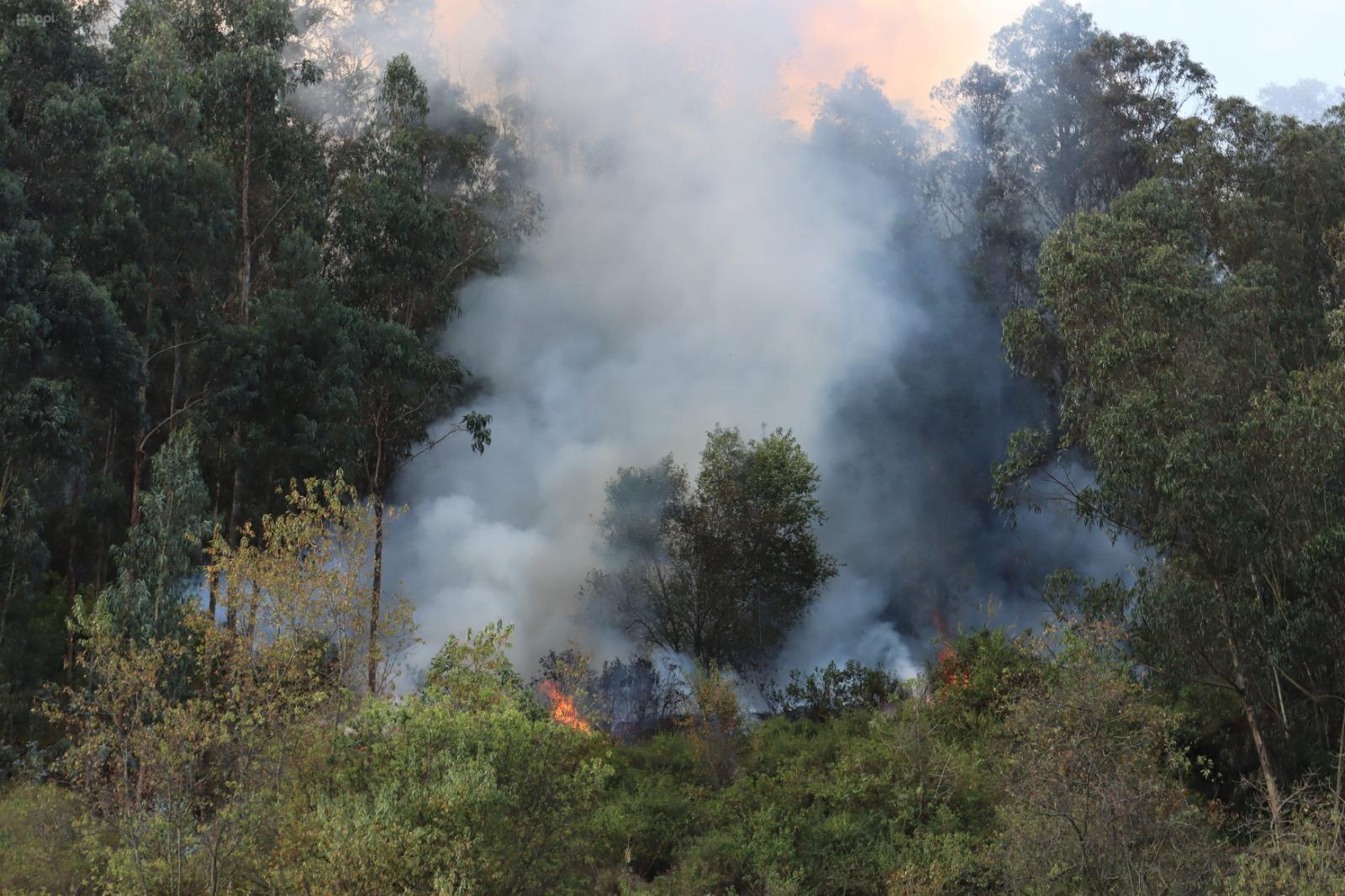 Imagen del incendio en el bosque de El Panecillo en Quito, el jueves 12 de septiembre. (API)