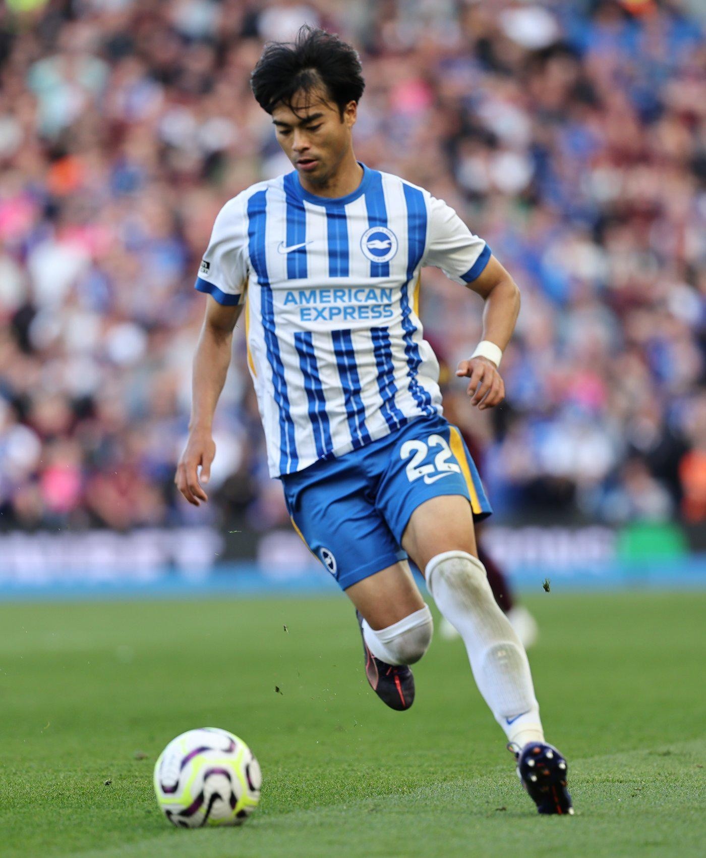Pervis Estupiñán no jugó en el Brighton vs. Ipswich Town. (Redes sociales)