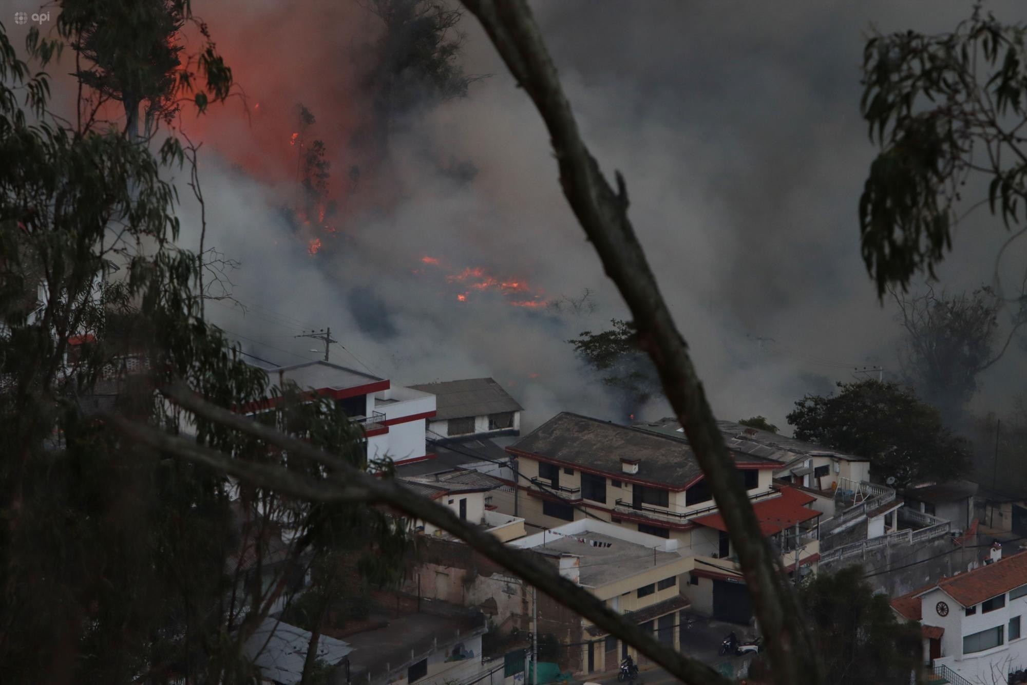 Incendio forestal en Guápulo este 24 de septiembre de 2024. (API)