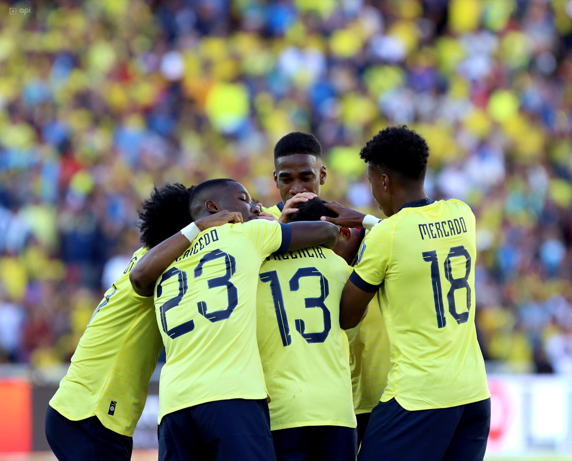 La lista de convocados de la selección de Ecuador para la jornada ocho y nueve de las Eliminatorias Sudamericanas ya tiene fecha de salida. (API)