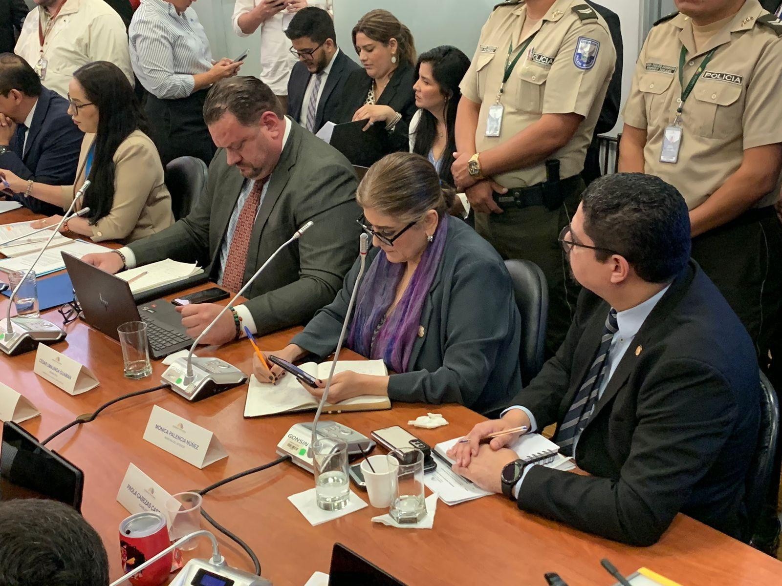 La ministra del Interior, Mónica Palencia, compareció ante la Comisión de Fiscalización. (API)