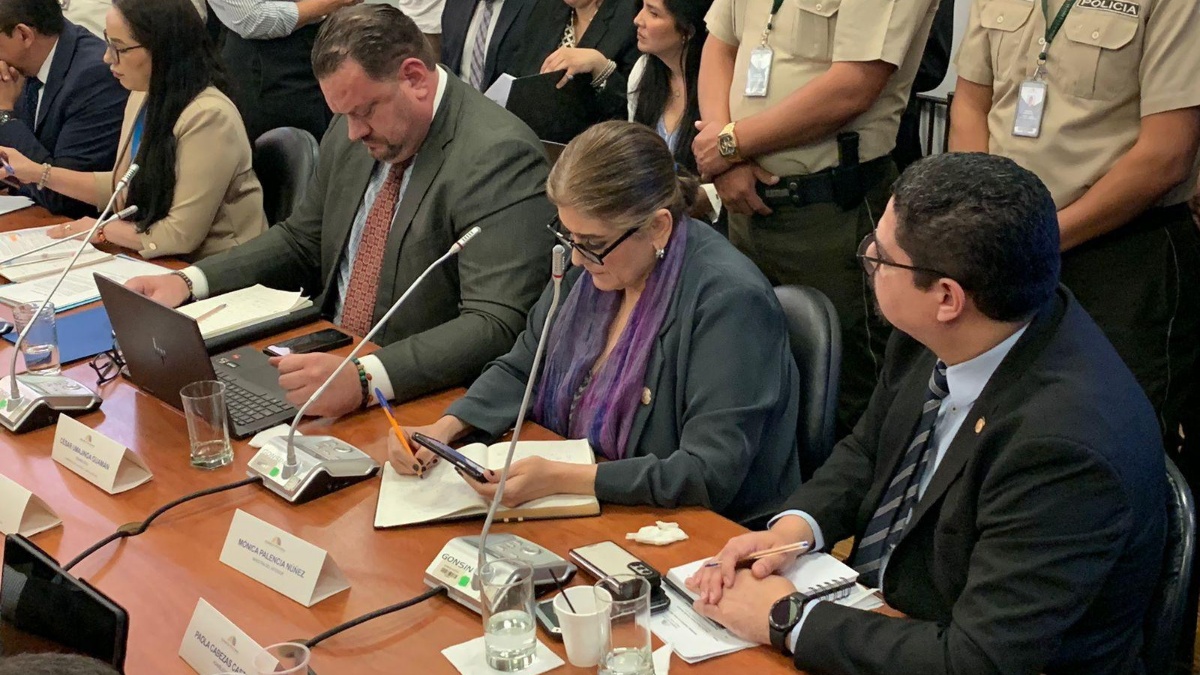 La ministra del Interior, Mónica Palencia, compareció ante la Comisión de Fiscalización. (API)