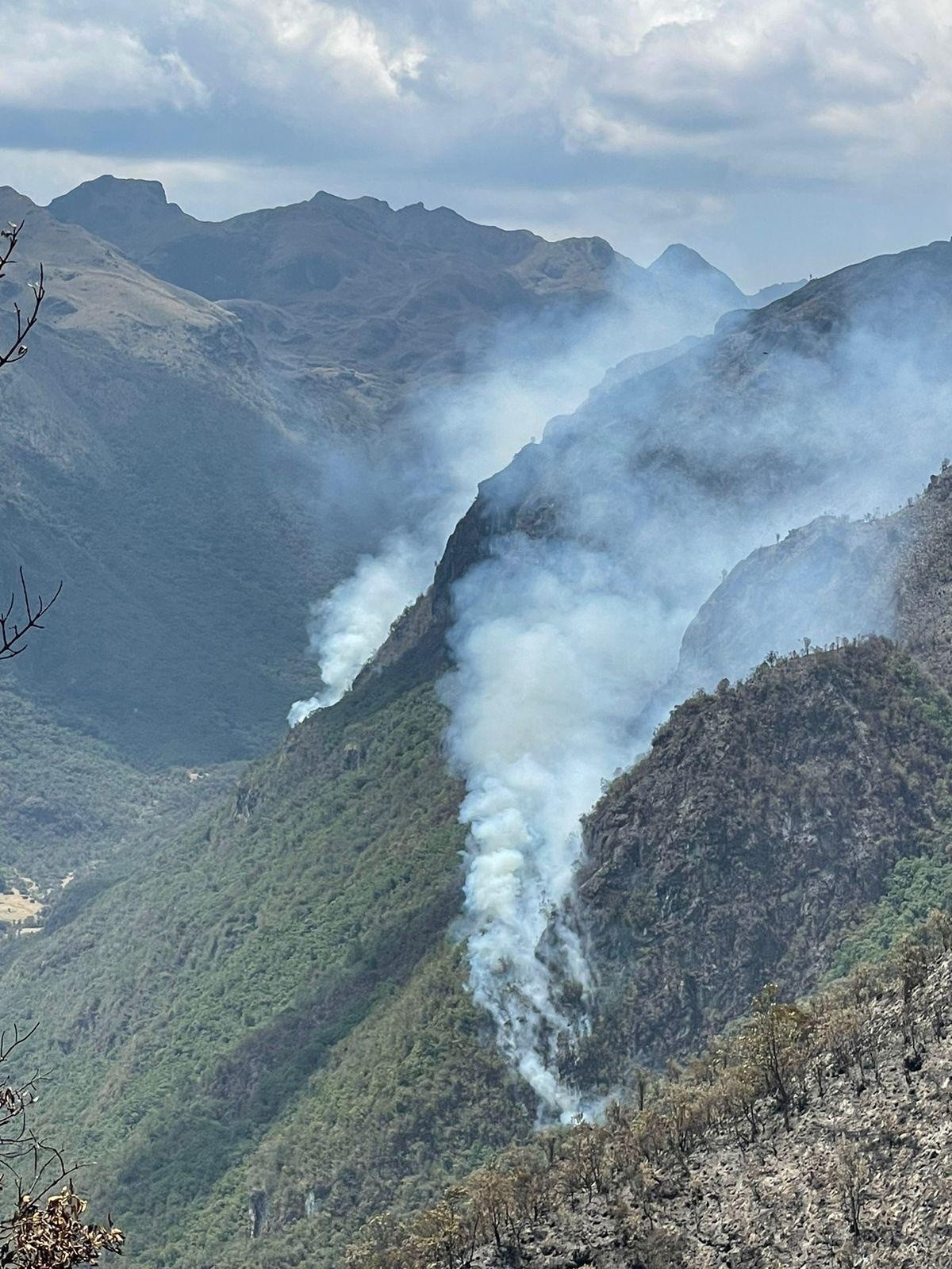 El fuego arrasó con numerosas hectáreas de vegetación. (Bomberos Cuenca)