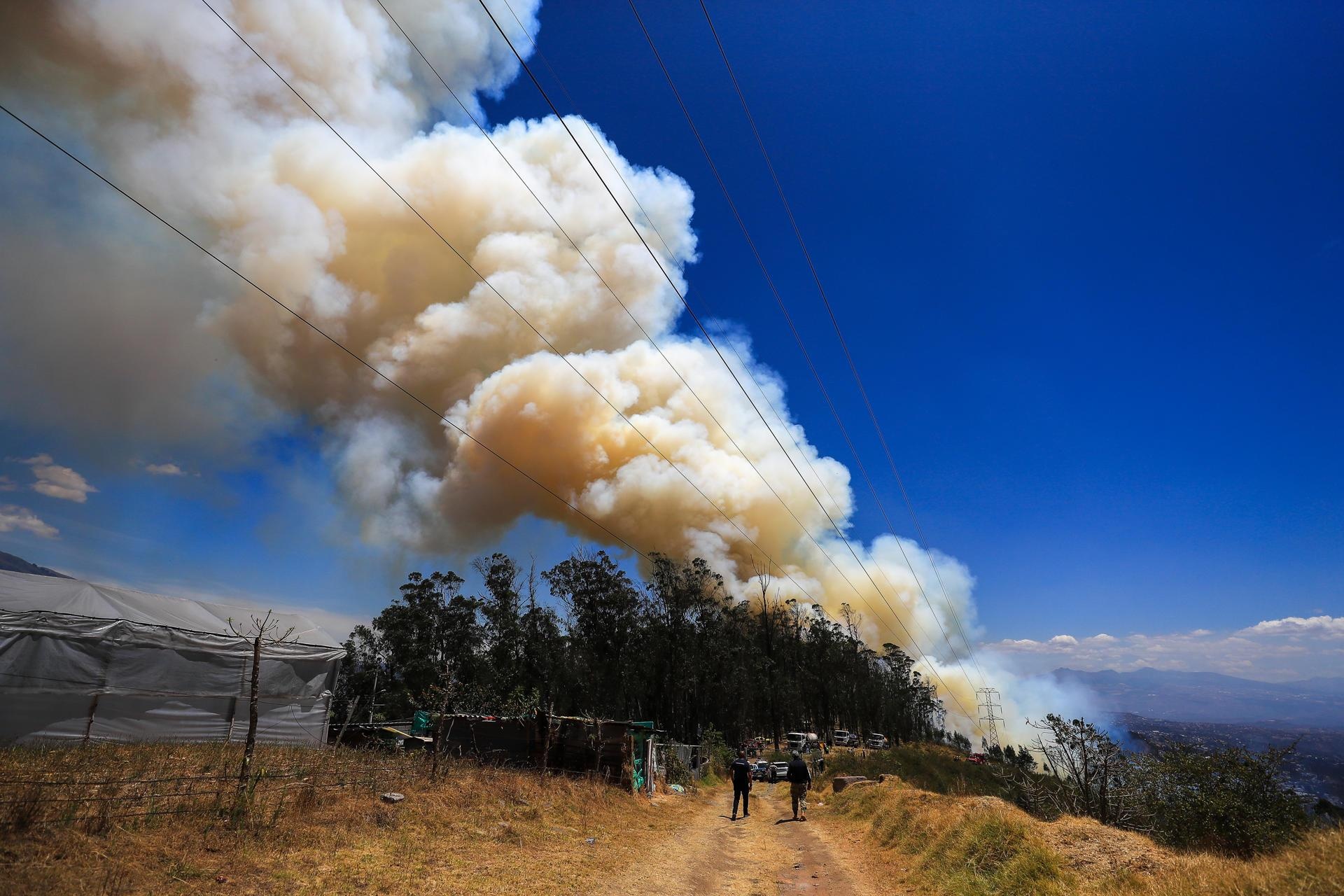 Fotografía referencial de un incendio forestal en el Cerro Auki, en Quito (Ecuador). (José Jácome / EFE)