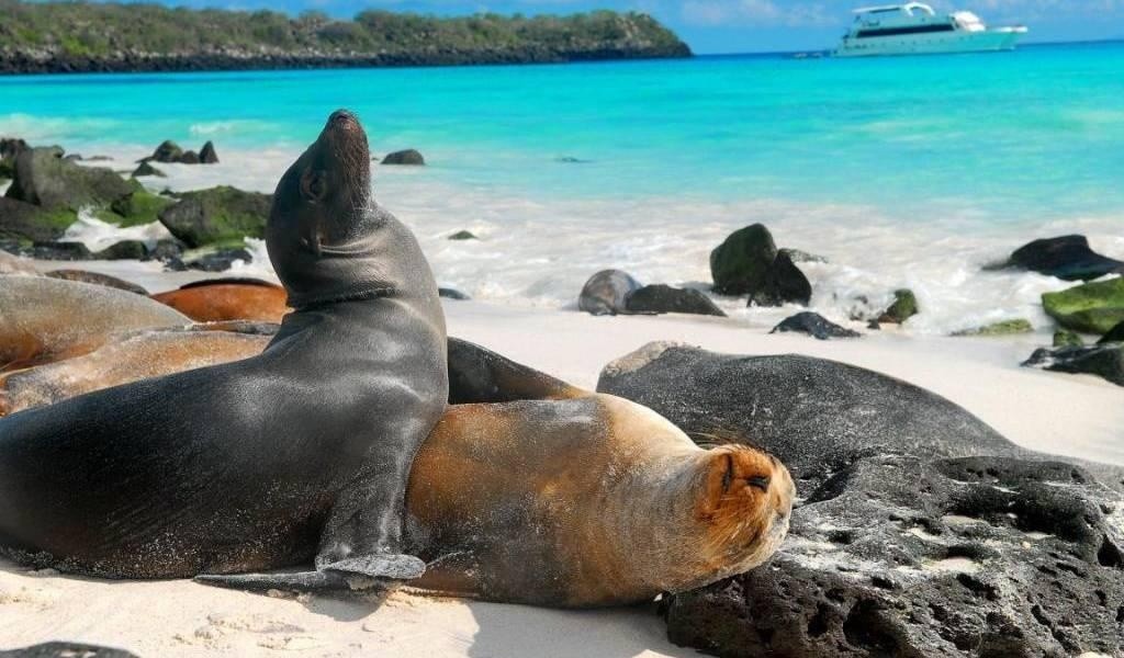 Una foto referencial de las Islas Galápagos. (Internet / Ecuavisa)