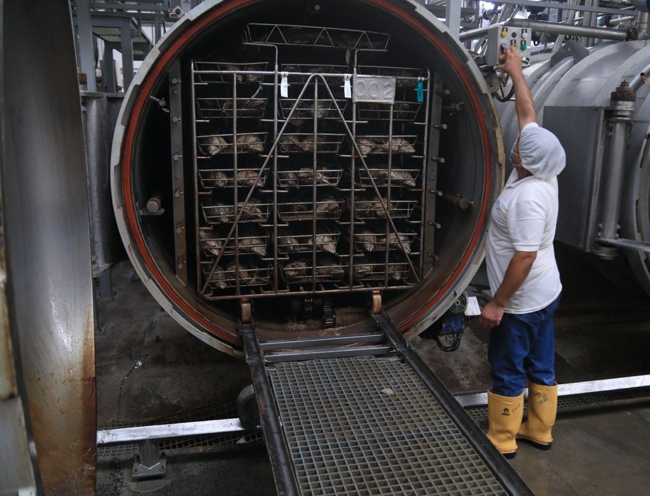 Imagen de una industria del sector de exportación de productos de mar. (Ministerio de Producción)