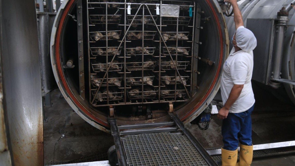 Imagen de una industria del sector de exportación de productos de mar. (Ministerio de Producción)