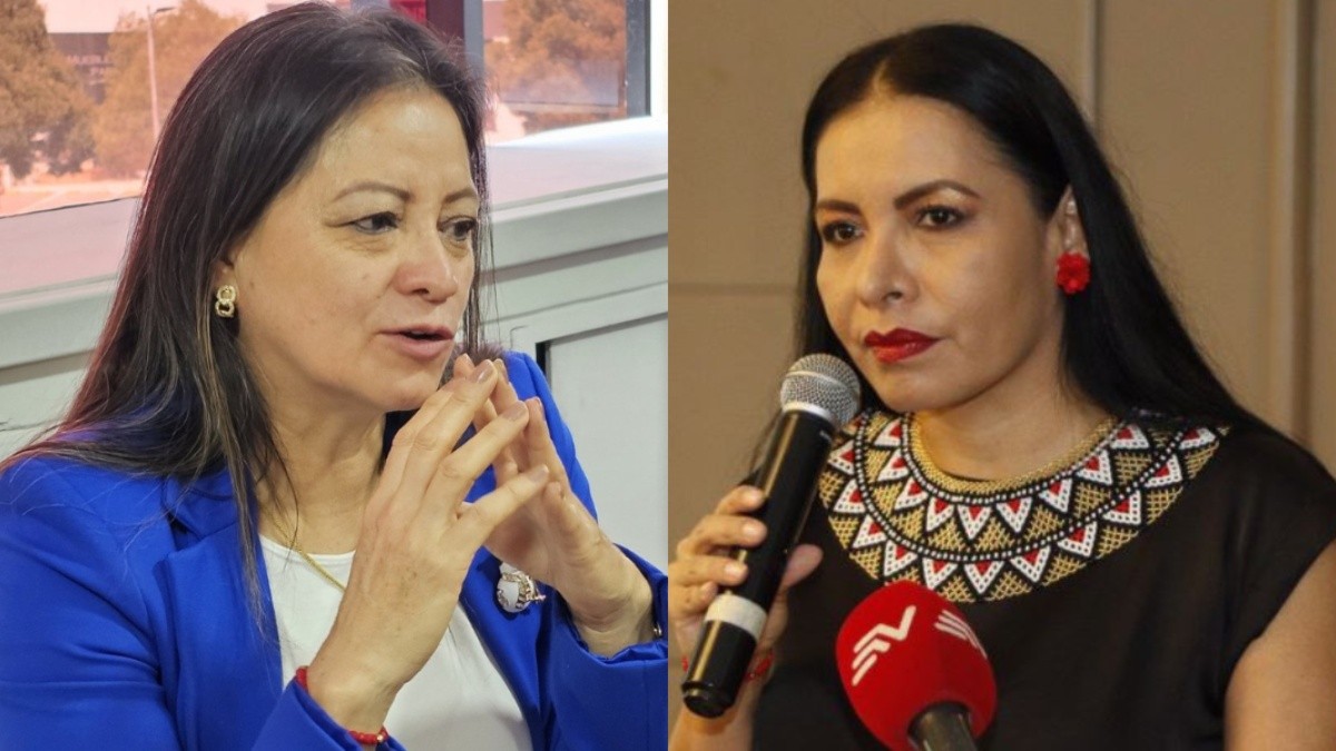 La consejera del CNE, Elena Nájera, y la presidenta del organismo, Diana Atamaint. (Composición Ecuavisa)