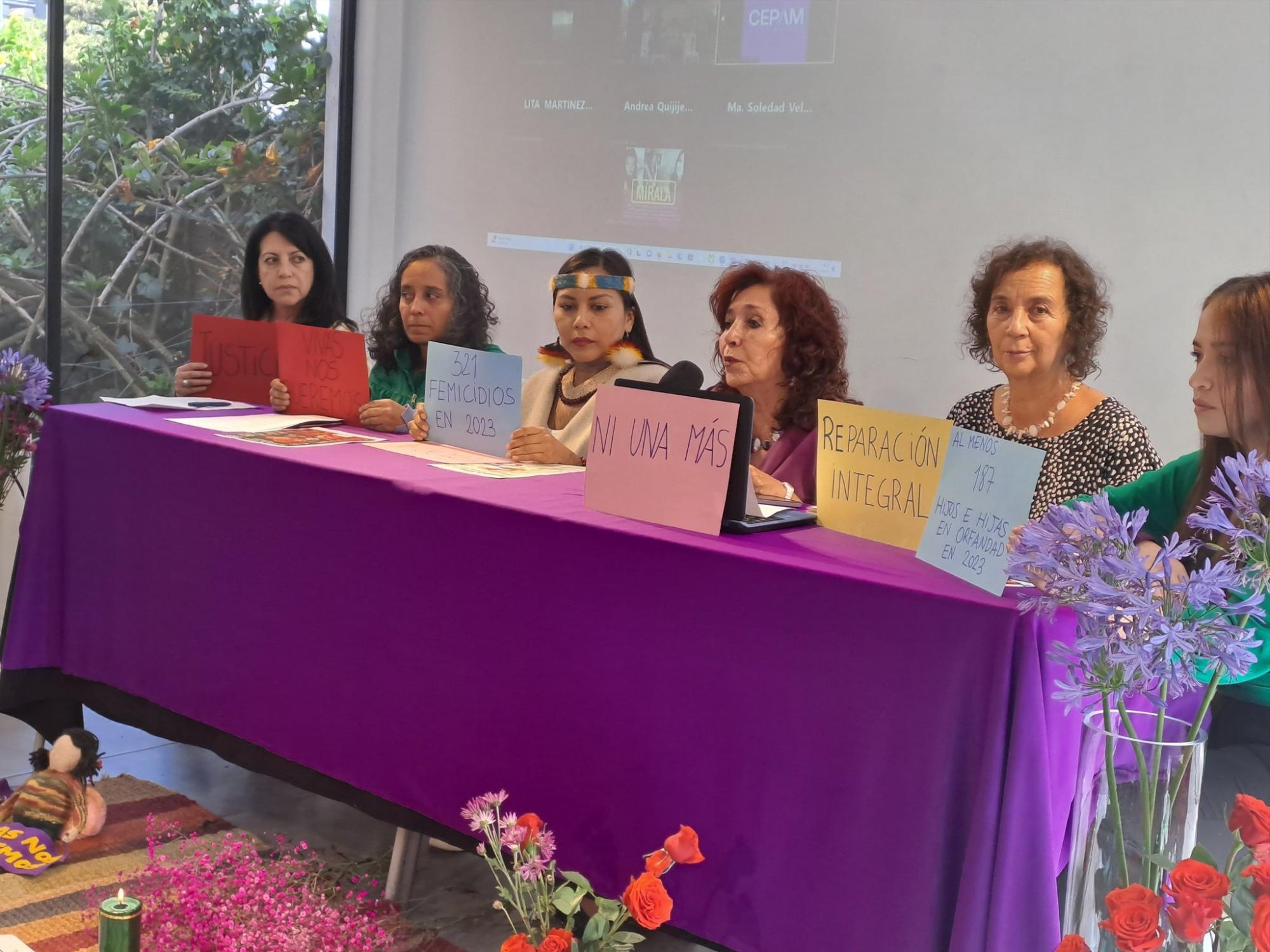 El colectivo presentó las cifras de muertes violentas por razones de género en 2023. (Foto: Fundación Aldea)