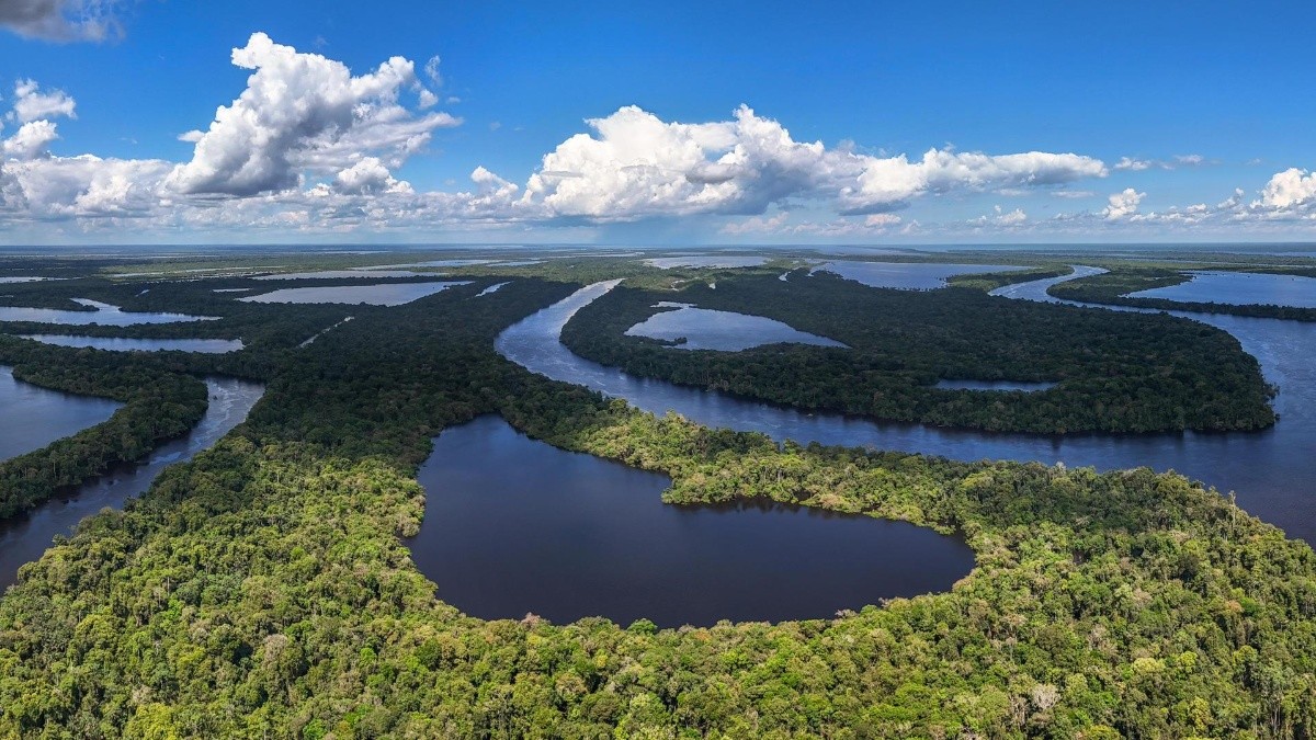 Fotografía aérea donde se observa una zona del Parque Nacional Anavilhanas, en el estado de Amazonas (Brasil). (Antonio Lacerda / (EPA) EFE)
