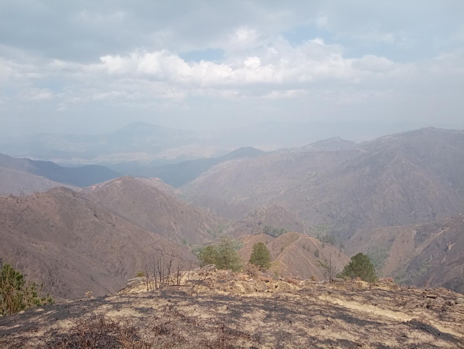 Debido a la sequía, Loja enfrentó decenas de incendios forestales que consumieron la vegetación. (Cortesía José Salinas)