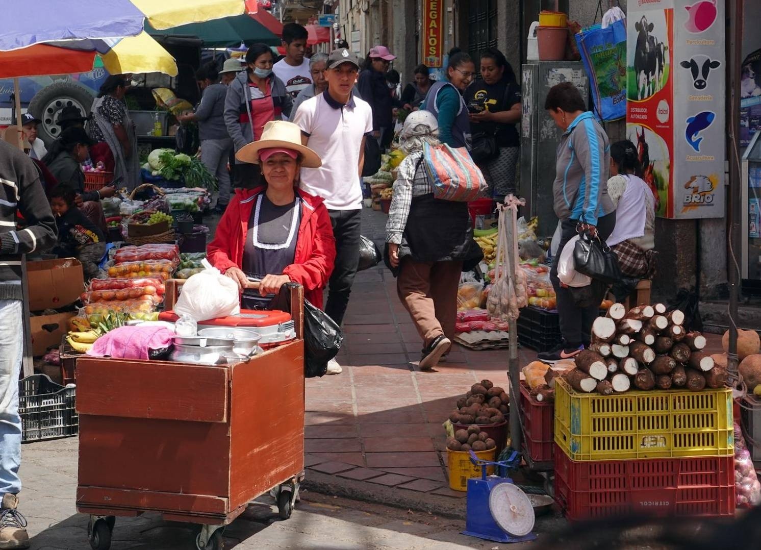 Imagen de archivo de ventas en el mercado 9 de Octubre, en Cuenca. (API)